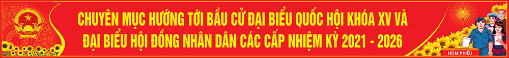 Bầu cử Đại biểu Quốc hội khóa XV - ĐB HĐND các cấp, nhiệm kỳ 2021-2026