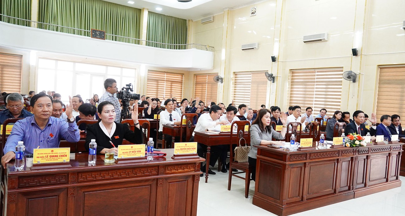 cac dai bieu hdnd tinh bieu quyet